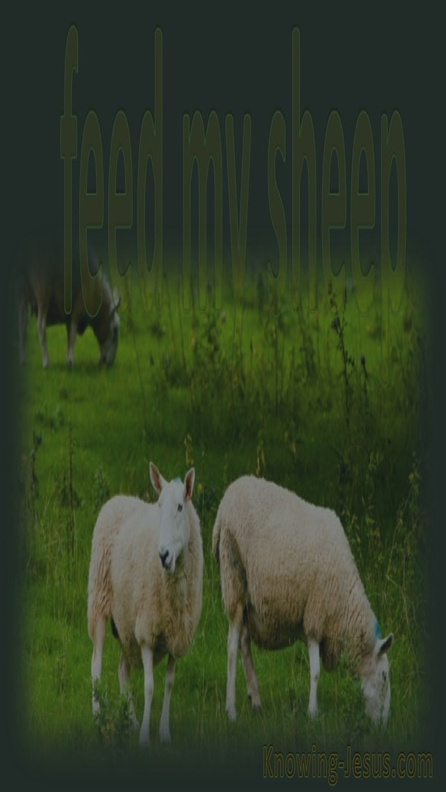 John 21:17 Feed My Sheep (sage)